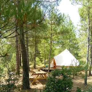  Campo de lujo Forest Days España